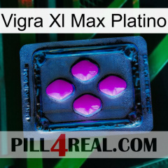 Vigra Xl Max Platinum 04